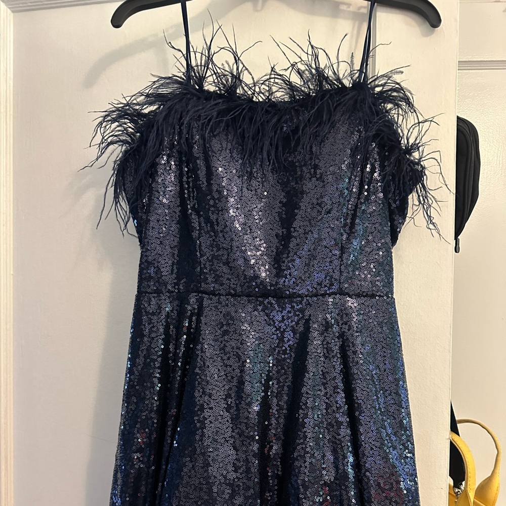 Navy, Feather, Sequins Dress